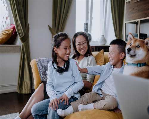 聚焦试管助孕方案：全方位解决生育难题