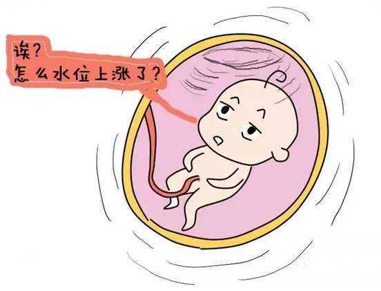 武汉试管婴儿流程选择的关键考量：全面解析